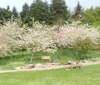 Stormont Estate - Reconciliation Statue surroundings