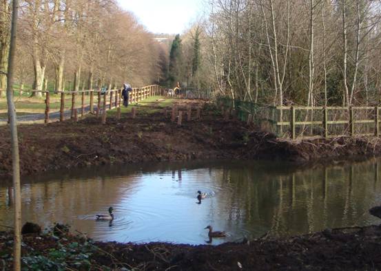 Stormont Estate - Wetland Area