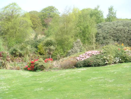 Stormont Estate - Wooded Park