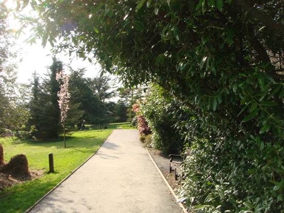 Stormont Estate - Woodland Area