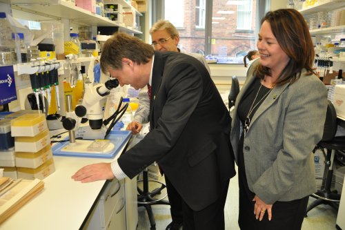 The Northern Ireland Assembly Committee for Employment and Learning on a visit to the Queen's University of Belfast's Centre for Cancer Research and Cell Biology. The Northern Ireland Assembly Committee for Employment and Learning on a visit to the Queen's University of Belfast's Centre for Cancer Research and Cell Biology.