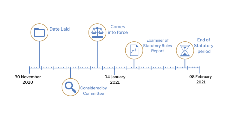 This timeline tracker shows the progress of The Seed Marketing (Amendment) Regulations (Northern Ireland) 2020. The exact details are available in the table below.