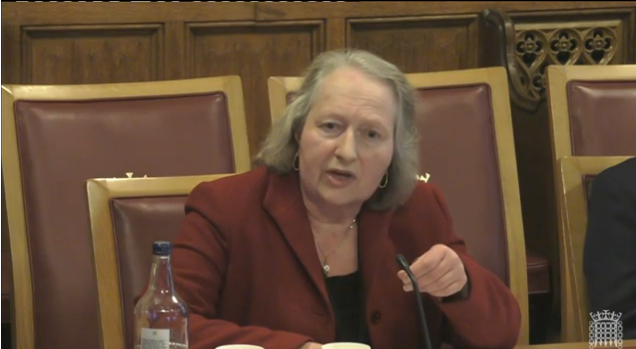 Kate Ling, European Policy Manager at the NHS Confederation, speaking to the Lords committee