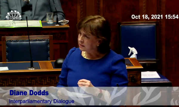 Diane Dodds speaking in the Assembly