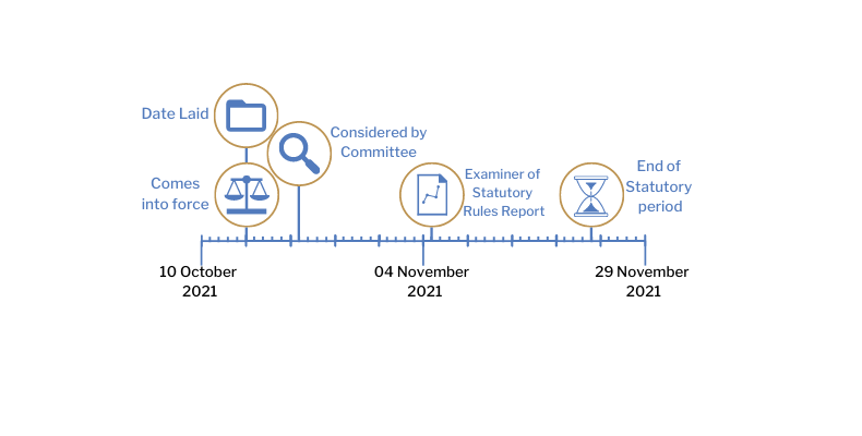 This timeline tracker shows the progress of The Health Protection (Coronavirus, International Travel) (2021 Consolidation) (Amendment No. 7) Regulations (Northern Ireland) 2021. The exact details are available in the table below. 