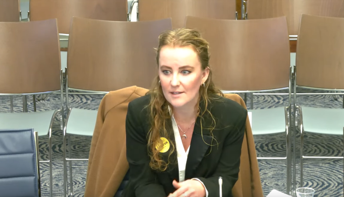 Dr Lisa Claire Whitten, Research Fellow at Queen’s University Belfast, speaking to the Democratic Scrutiny Committee 