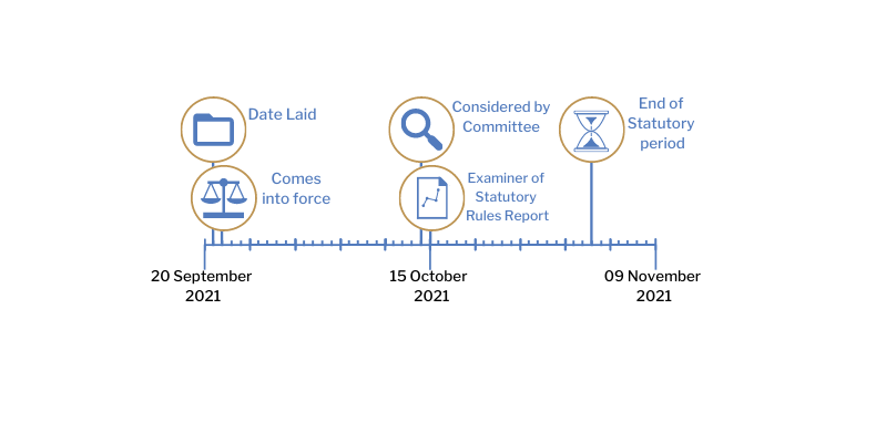 This timeline tracker shows the progress of The Health Protection (Coronavirus, International Travel, Operator Liability and Information to Passengers) (Amendment No. 6) Regulations (Northern Ireland) 2021. The exact details are available in the table below. 
