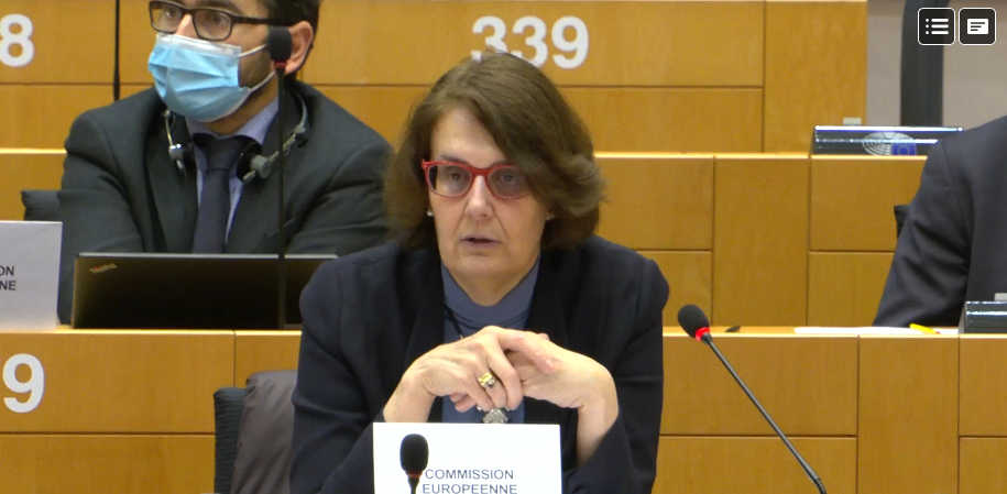 Director General Sandra Gallina briefing MEPs on the proposals