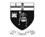 Derry City Council Logo