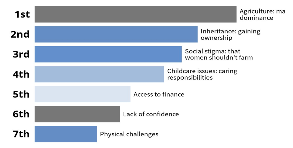 The most important challenges faced by women were ranked by participants. The top four were listed as male dominance inheritance, social stigma and childcare responsibilities.