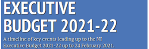 Exec_Budget295x100.png