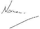 Norman Irwin signature