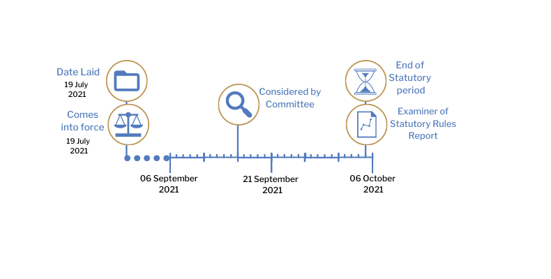  This tracker shows the progress of The Health Protection (Coronavirus, International Travel, Operator Liability and Information to Passengers) (Amendment No. 3) Regulations (Northern Ireland) 2021. The exact details are shown in the table below.