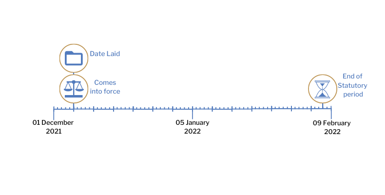 This timeline tracker shows the progress of The Health Protection (Coronavirus International Travel) (2021 Consolidation) (Amendment No. 11) Regulations (Northern Ireland) 2021. The exact details are available in the table below. 