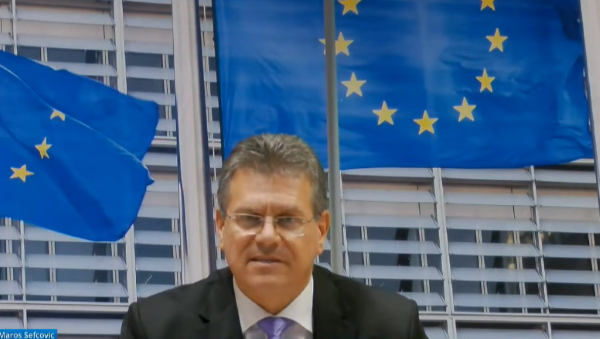 Vice-President Maroš Šefčovič addressing the Committee on Wednesday