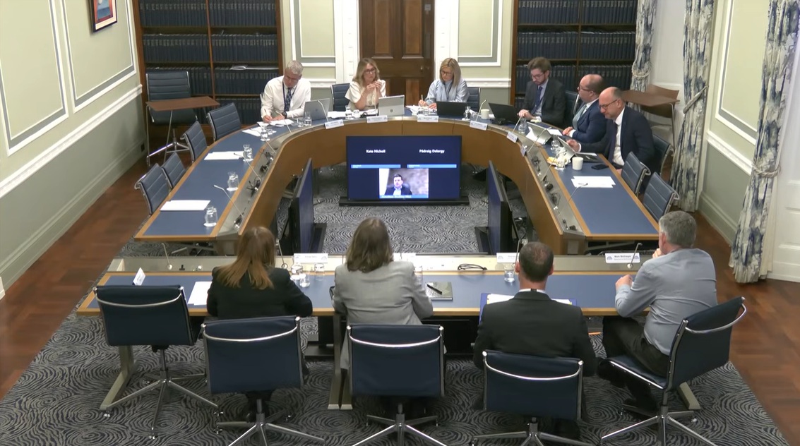 image shows the Windsor Framework DSC Committee seated at a meeting table in Parliament Buildings as they take evidence from witnesses.    