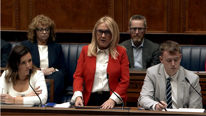 image shows Ciara Ferguson MLA in the Assembly Chamber, opening the debate on Observer Status in the European Parliament:&nbsp; 