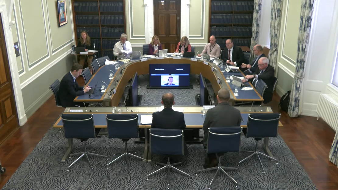 image shows the Windsor Framework Democratic Scrutiny Committee (DSC)