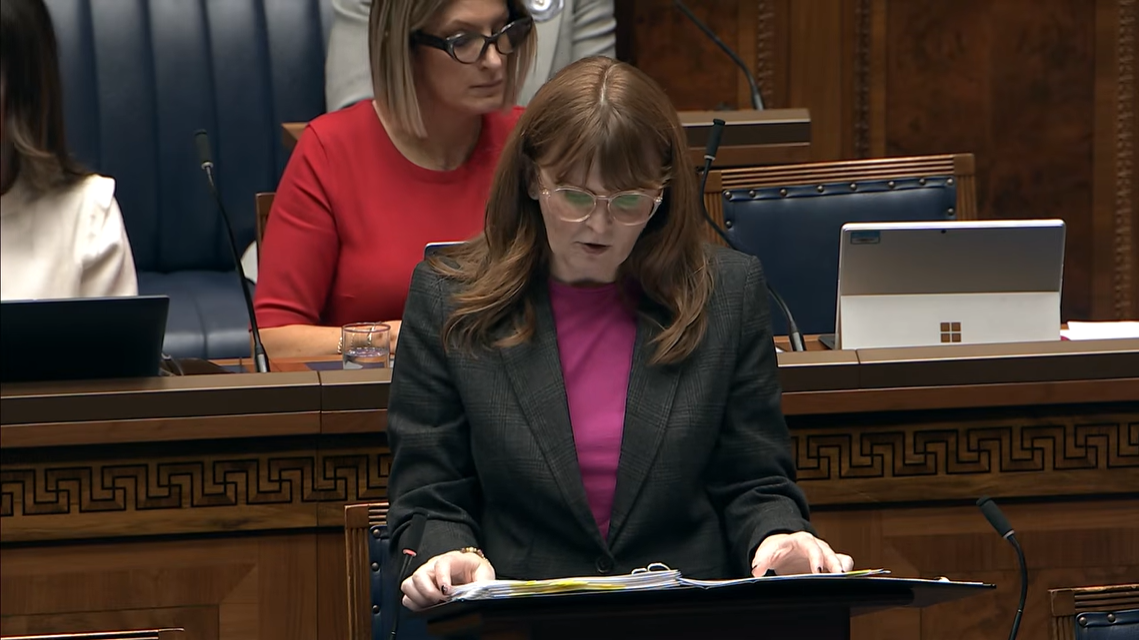 image shows the Economy Minister in the Assembly Chamber delivering a Statement  