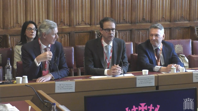 image shows witnesses sitting in a row in a House of Lords Committee room - briefing the European Affairs Committee 
