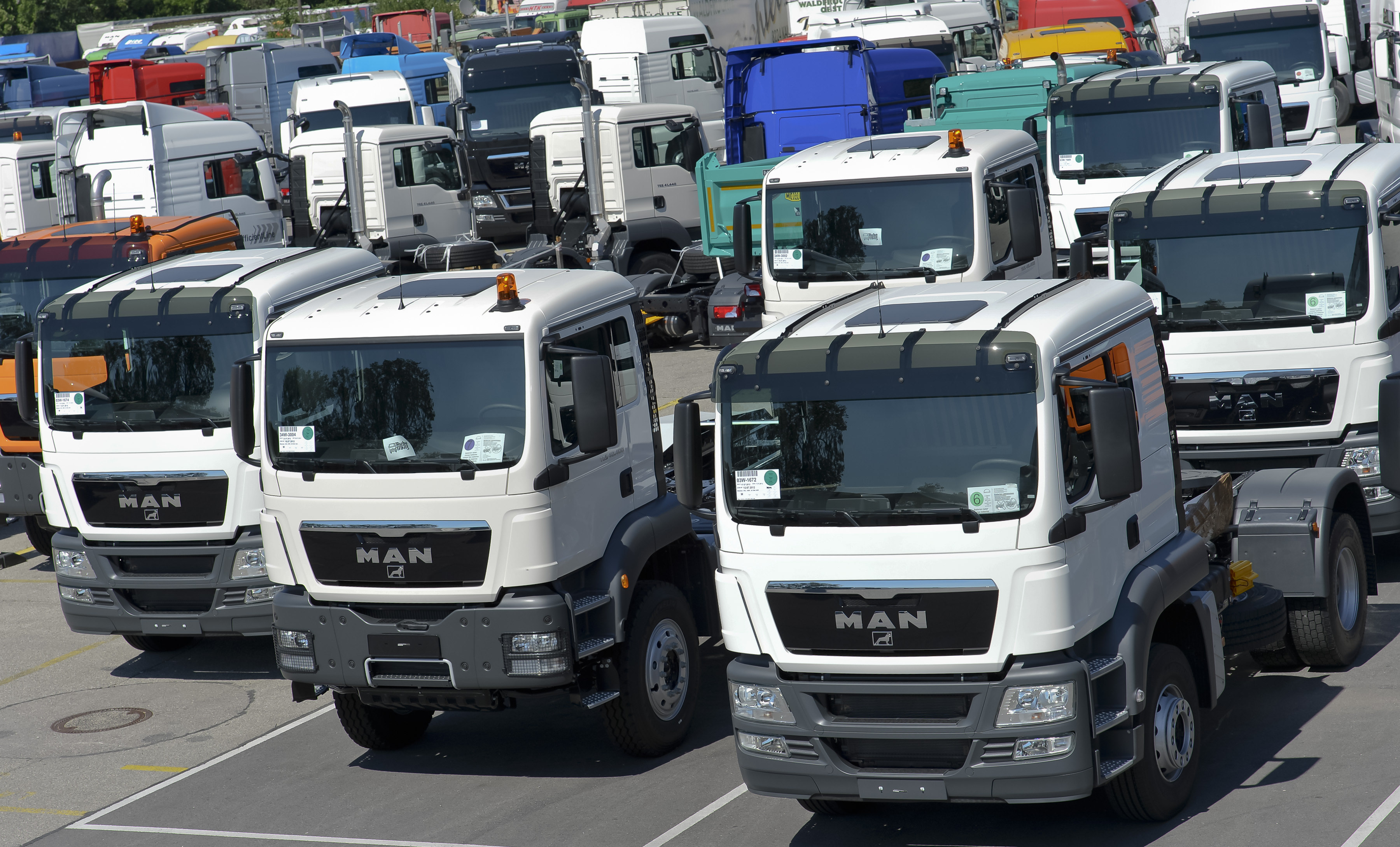 image shows rows of white haulage lorries.