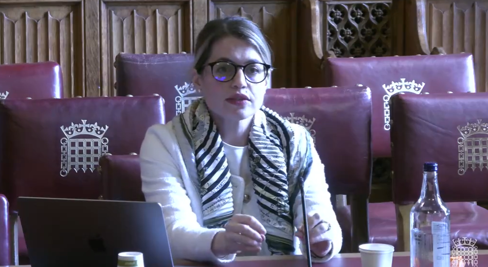 image shows Dr Eleni Frantziou, Associate Professor in Public Law and Human Rights at Durham Law School, Durham University in a Committee Room in the House of Lords giving evidence to the Northern Ireland Scrutiny Committee