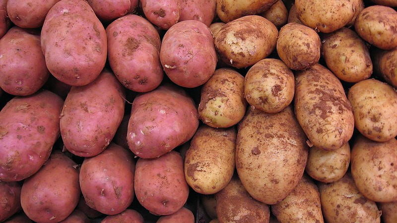 Image is a photograph of red and white potatoes