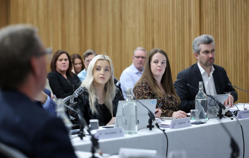 Rt Hon Alan Milburn addressing Health Committee Members during the Committee meeting