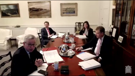 Gove speaking to the Lords EU Committee | Source: UK Parliament 