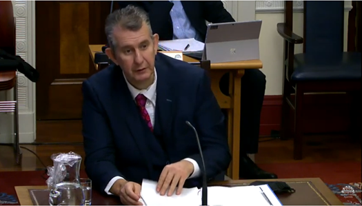 Minister Poots speaking to the Committee for Agriculture, Environment and Rural Affairs Source: NI Assembly