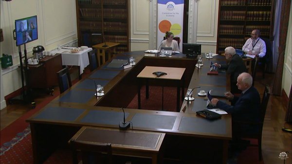 Committee for the Economy Meeting on Wednesday 18 November 2020