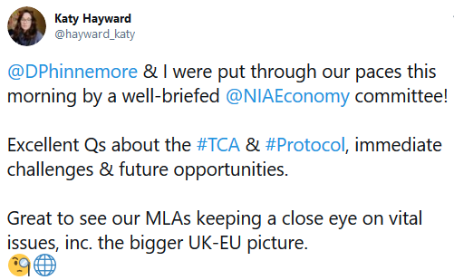 Katy Hayward on Twitter - @DPhinnemore and I were put through our paces this morning by a well briefed @NIAEconomy committee!
