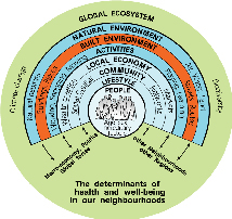 The determinants of health logo