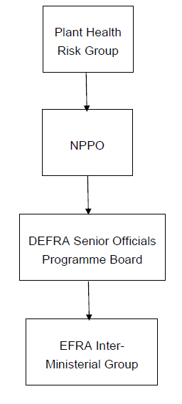The structure of the framework (as described in detail in the paragraphs above).
