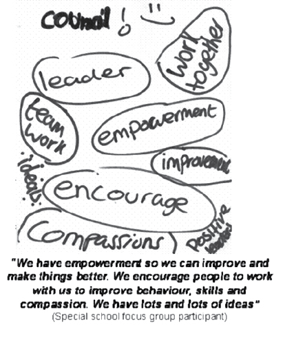 Figure 7: Special school focus group participant's perceptions of school council