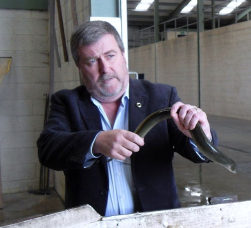 Cathal O hOisín at Lough Neagh Eel Fishery